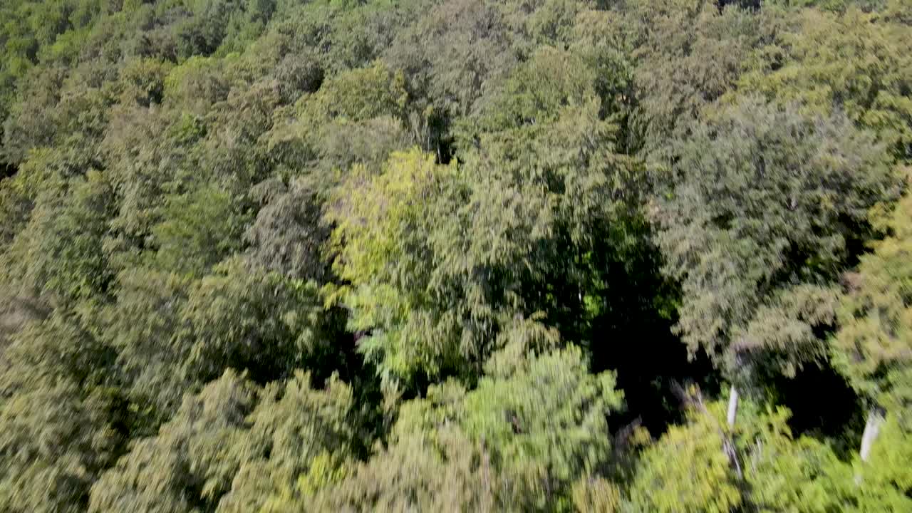 Flyover above forest covering hills near Pilis, Hungary