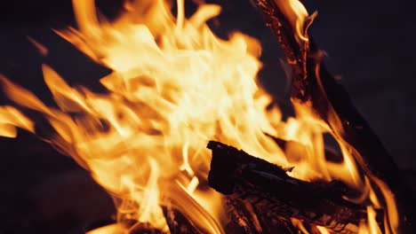 burning wood. outdoor wood campfire burning brightly at night forest with sparks.