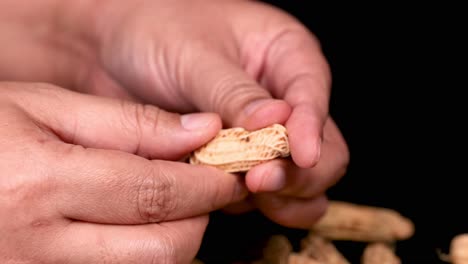Hands peeling a peanut shell open
