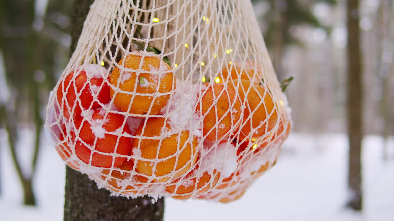눈 속 에 빛 이 있는  가방 에 있는 오렌지