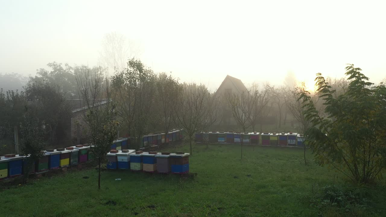 아침 일찍 집 위에 떠다니는 안개, 숲 속의 주말 휴양지