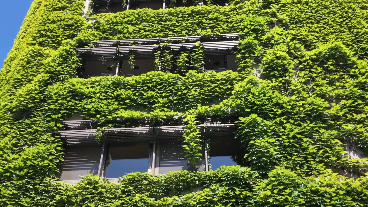 Fachada de edificio moderno cubierta de exuberante hiedra verde