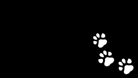 paw print animation with optional luma matte. alpha luma matte included. 4k video