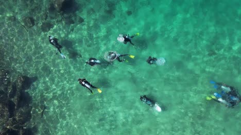 A-group-of-people-learning-how-to-scuba-dive-below-the-clear-ocean-water