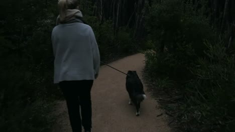woman walking dog along narrow track during the night