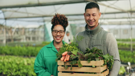 Farmer,-teamwork-and-vegetables-box