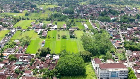 Ikonisches-Indonesisches-Township-Mit-Grünen-Feldern,-Drohnenansicht-Aus-Der-Luft