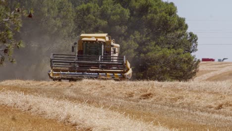 combine harvesting wheat field in spain-4