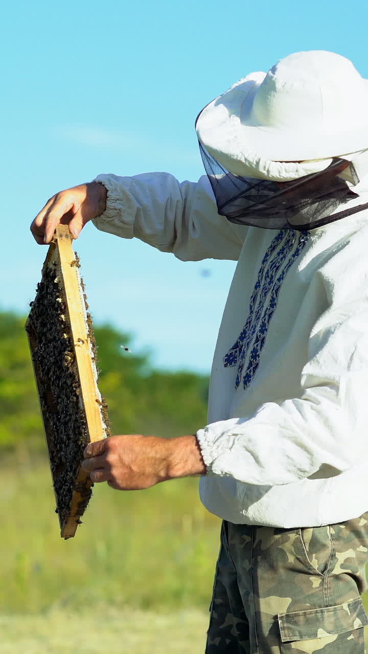 Young beekeeper working in the apiary. Beekeeping concept. Beekeeper harvesting honey Vertical video
