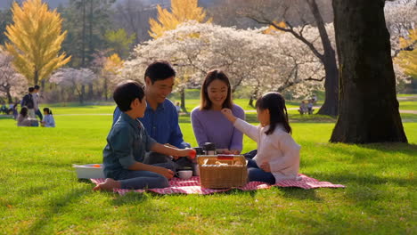 a happy family enjoys a spring picnic in a park surrounded by blooming cherry blossoms