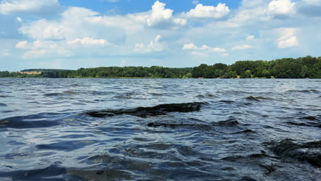 waves splashing against the rocks in the river. lush greenery growing on the other bank. sunny day nature scenery.