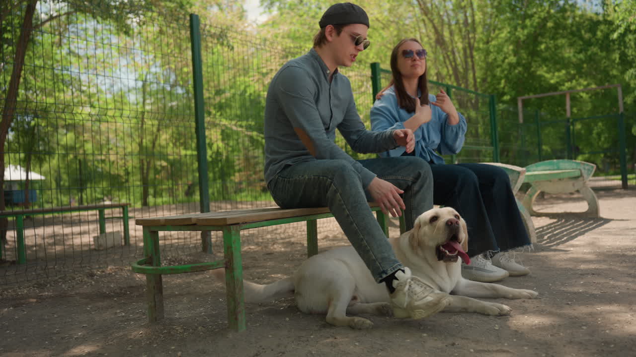그늘진 공원의 벤치에서 래브라도를 쓰다듬으며 편안하게 대화를 나누고 부드럽게 쓰다듬는 커플, 만족스럽게 헐떡거리는 개, 선글라스와 캐주얼한 복장, 울타리가 쳐진 공간과 느긋한 오후 분위기
