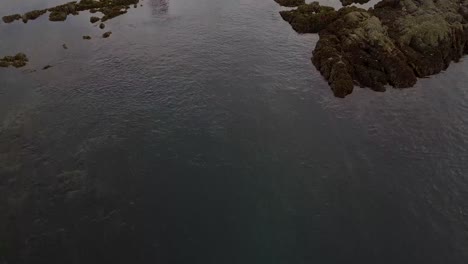 Close-up-Aerial-Flying-Through-Vanderbilt-Reef,-Dangerous-Coral,-Run-Aground,-Lynn-Canal,-AK