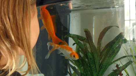 Girl-Looking-At-Pet-Fish-In-Aquarium