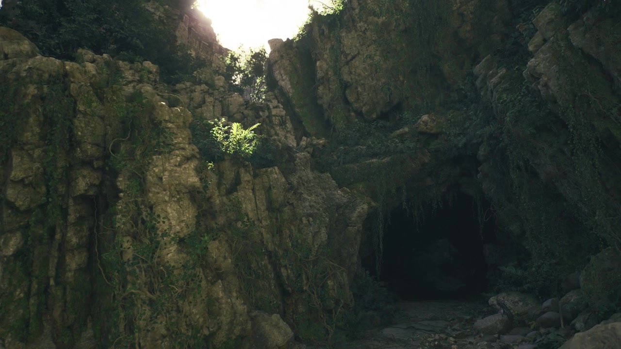 Dark cavern opening bordered by overhang and vibrant green leaves overhead