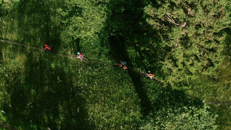 Mountain Bikers on a Forest Trail