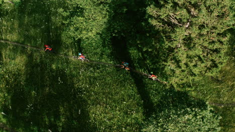 mountain bikers on a forest trail