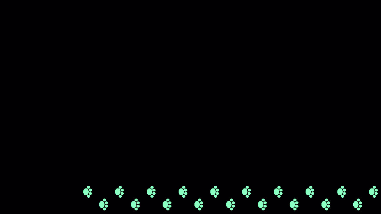 파우 프레임 애니메이션 오버레이 1080p - 30fps - 알파 채널 (4)