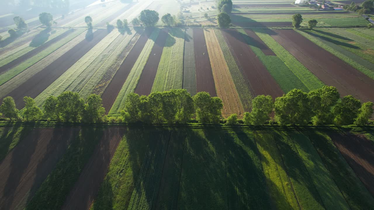 봄 아침 빛은 다채로운 땅에 식물과 함께 에서 농업 파틀을 조명, 공중 촬영