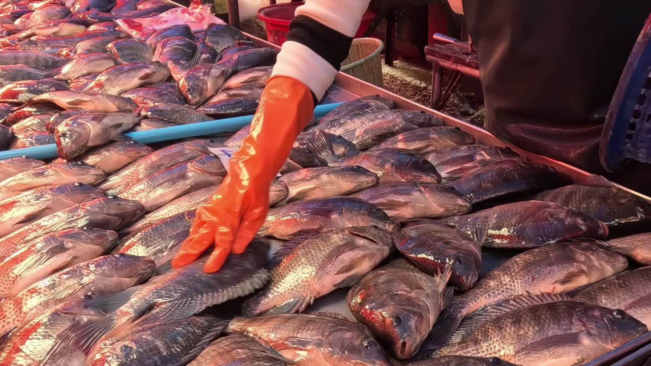 A vendor with orange gloves arranges fresh fish on a market stall table.