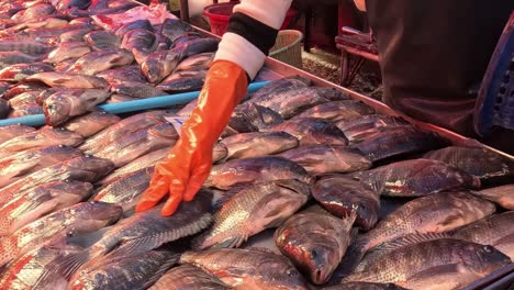 a vendor with orange gloves arranges fresh fish on a market stall table.