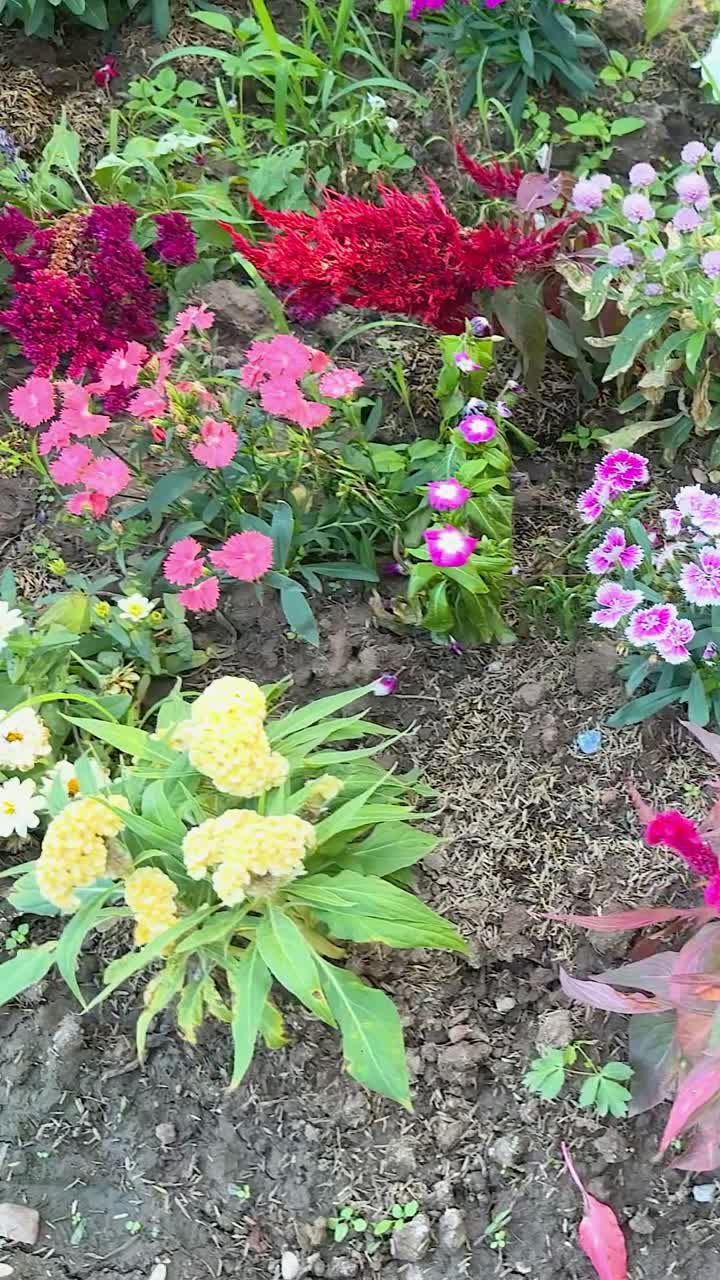 flores vibrantes florecen en un jardín exuberante