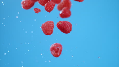 A tight pack of raspberries flying in air with an explosion of water droplets. High quality cinematic studio commercial super slow motion 1000fps shot of berries moving up, down on a blue background.