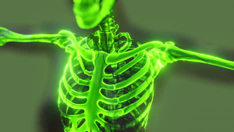 glow-skeletal-bones-of-human