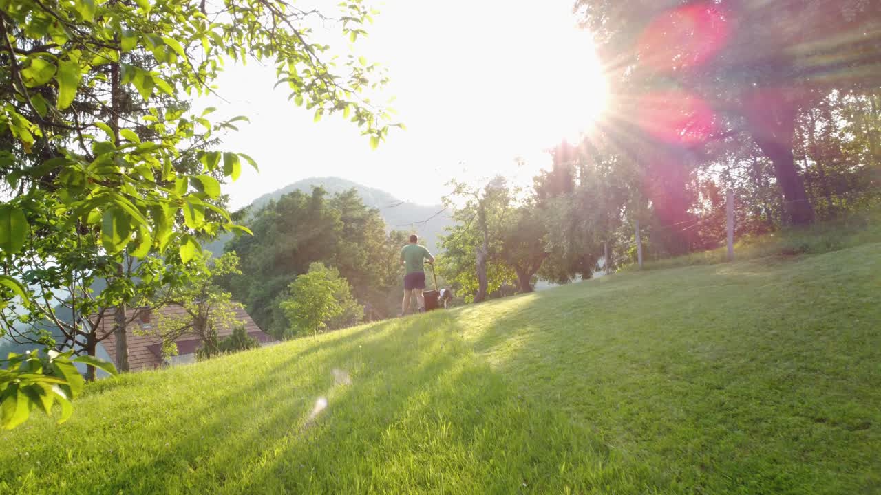 햇빛이 나무 사이로 비치는 석양에 알아볼 수 없는 남성이 녹색 잔디를 깎고 있다