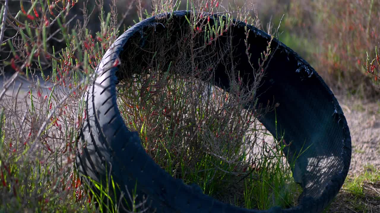 un viejo neumático de automóvil de un reventón junto a la carretera