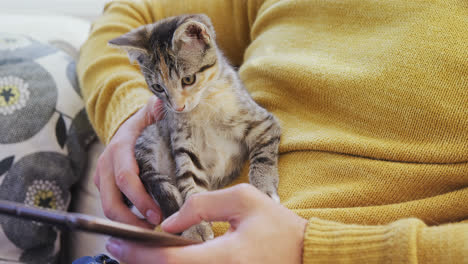 hombre joven sentado en el sofá mostrando la tableta a su gato mascota en casa 4k 4k