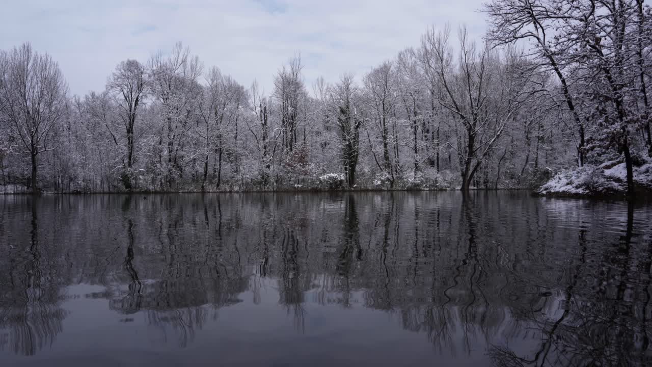 спокойная холодная вода озера, отражающая снежный пейзаж с деревьями, покрытыми белым снегом