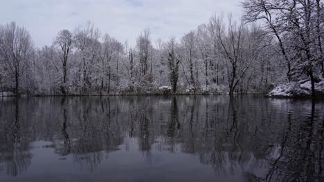 Tranquilas-Aguas-Frías-Del-Lago-Que-Reflejan-Un-Paisaje-Nevado-Con-árboles-Cubiertos-De-Nieve-Blanca