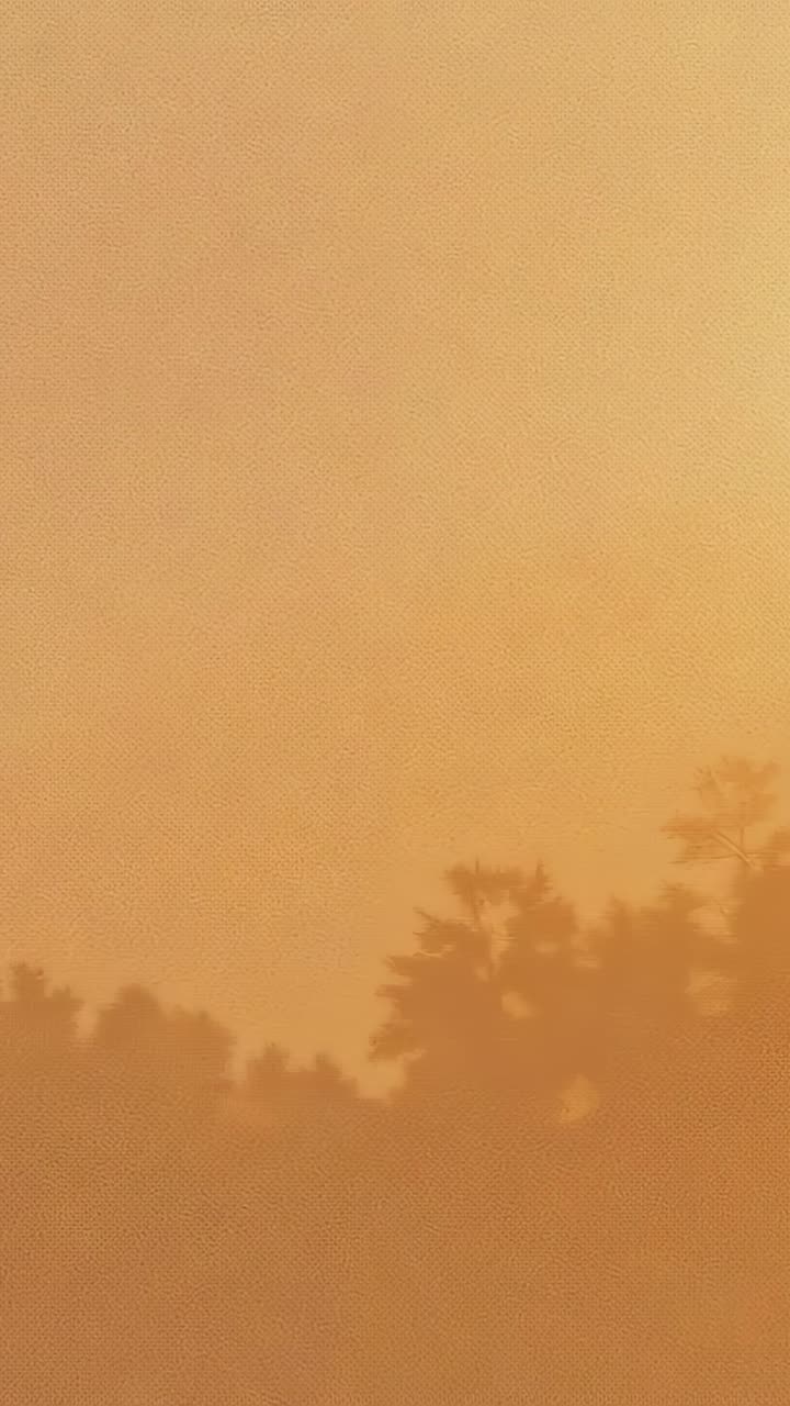 Vertical video: Panning camera capturing tall conifer and sloped roofline in yard, with orange haze
