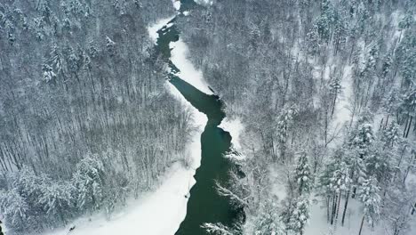 Hermoso-Bosque-De-Nieve-En-Invierno.-Volando-Sobre-Pinos-Cubiertos-De-Nieve.