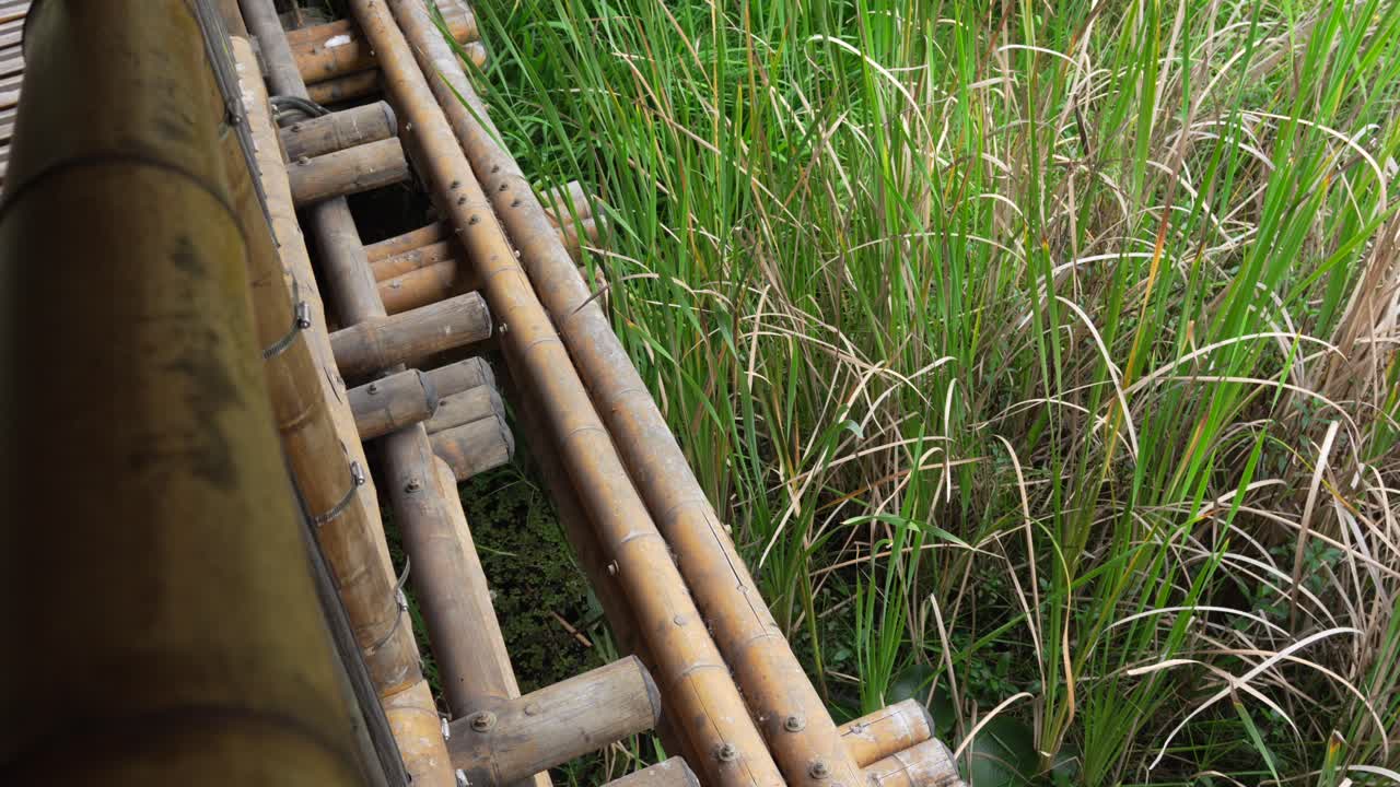 Bamboo bridge next to tall grass reeds natural rural village countryside