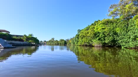 scenic boat journey along nerang river canals