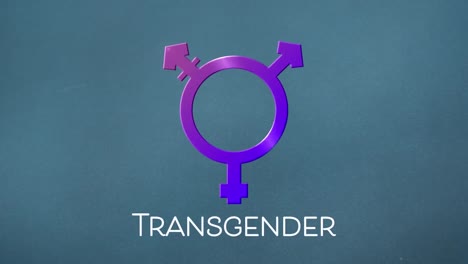 Animation-Eines-Violetten-Transgender-Symbols-Auf-Rosa-Hintergrund