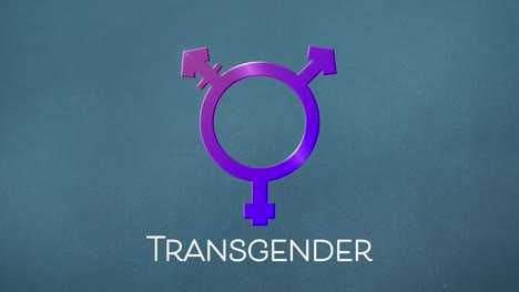 animación del símbolo transexual púrpura sobre fondo rosa