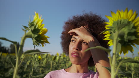 mujer joven en un campo de girasoles