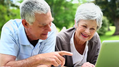 Happy-senior-couple-relaxing-in-the-park-using-laptop