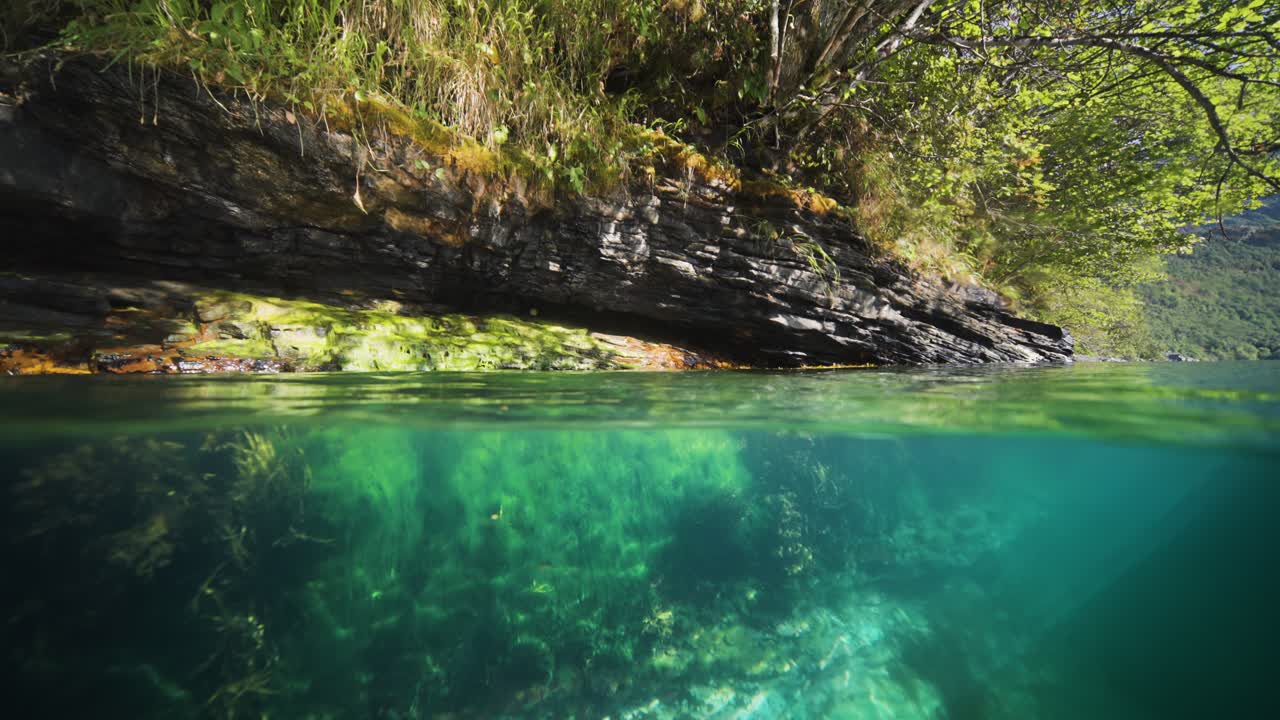 The clear blue waters of Geiranger Fjord reveal underwater plants, with a rocky shoreline visible above the surface. Over-under shot.