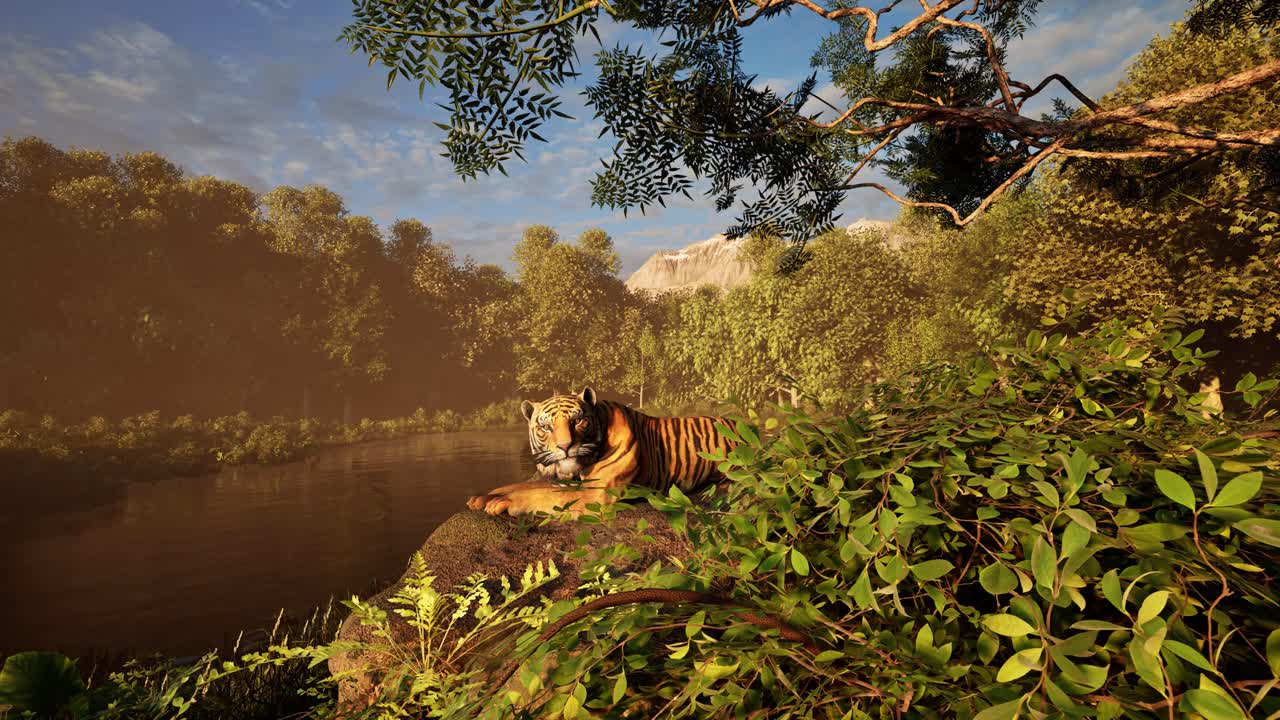 Premium stock video - A tiger resting on a rock beside a river inside ...