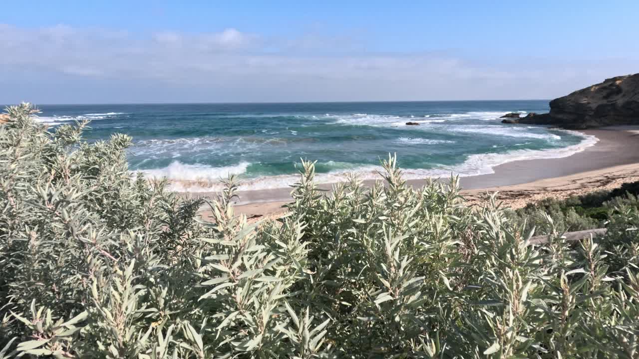 Waves crashing on a scenic beach