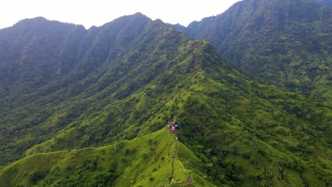 scenic view of lush green mountain ranges in west bali national park in indonesia