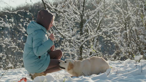 Woman-giving-a-treat-to-her-dog-while-walking-in-a-snowy-park-on-a-clear-winter-day