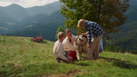 family dog feeling happy on mountains slope. people relax on nature with pet.