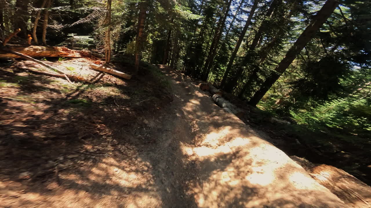 POV Mountain Biking Downhill Through a Sunny Forest Trail