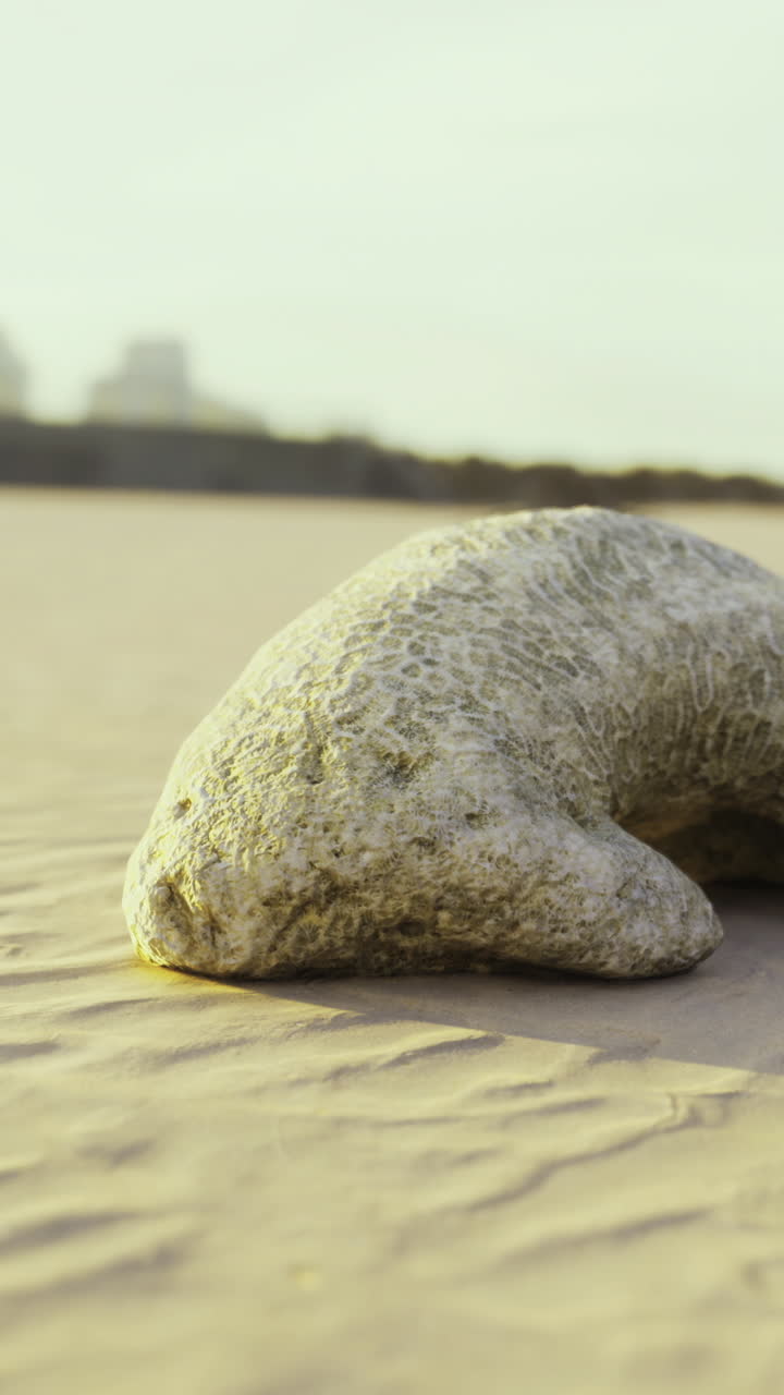 Unique rock formation resting on sandy beach during a serene afternoon