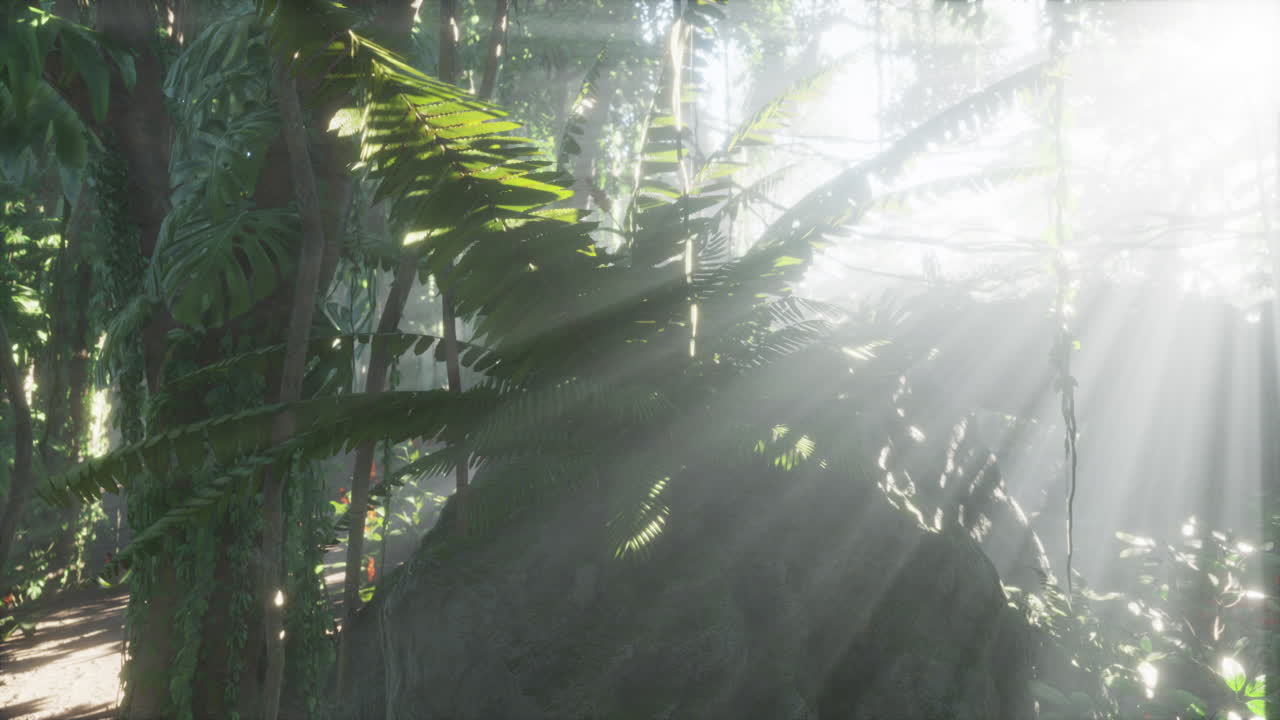 아침 안개 가 있는 울창 한 열대 우림